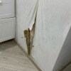 https://cdn-ostrovok-ru-ion.test.edgekey.net/t/100x100/hotel_review/53/12/53126a811bcb746b015041a2a2609a1028e32d50.JPEG