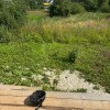 https://cdn-ostrovok-ru-ion.test.edgekey.net/t/100x100/hotel_review/53/17/53178260fd918766a8421c5c966bda12aae0f8f7.JPEG