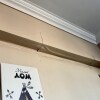 https://cdn-ostrovok-ru-ion.test.edgekey.net/t/100x100/hotel_review/53/36/5336b18b57927b231147bcae8d850485a81a766c.JPEG