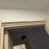 https://cdn-ostrovok-ru-ion.test.edgekey.net/t/100x100/hotel_review/53/81/5381bc9abe8a163a51e32fa59ba4cd77444af20f.JPEG
