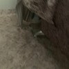 https://cdn-ostrovok-ru-ion.test.edgekey.net/t/100x100/hotel_review/53/92/539200779893c74376f8d941132f260571aec30c.JPEG