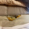 https://cdn-ostrovok-ru-ion.test.edgekey.net/t/100x100/hotel_review/53/f2/53f284efe867fba6943c867bbb8e9dfd169d051a.JPEG