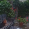 https://cdn-ostrovok-ru-ion.test.edgekey.net/t/100x100/hotel_review/54/00/54000db3967526fae6221d642fb4b3eea8006edc.jpeg