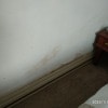 https://cdn-ostrovok-ru-ion.test.edgekey.net/t/100x100/hotel_review/54/1c/541ced42b99df8f623a1a80f8970f539036a68f8.jpeg