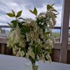 https://cdn-ostrovok-ru-ion.test.edgekey.net/t/100x100/hotel_review/54/33/54331f3f4f3edb441ae0f7c2c5776f230d859ead.JPEG