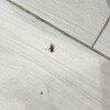 https://cdn-ostrovok-ru-ion.test.edgekey.net/t/100x100/hotel_review/55/90/55904e9c9baf7283bdaf59c2b716e689ef9811a4.JPEG