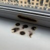 https://cdn-ostrovok-ru-ion.test.edgekey.net/t/100x100/hotel_review/56/35/5635efa1791004507c10ab101e026388057277a5.JPEG