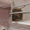 https://cdn-ostrovok-ru-ion.test.edgekey.net/t/100x100/hotel_review/56/5d/565d6ba17d06ddc5b5695611fdfed3b4ec0bac79.JPEG