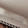 https://cdn-ostrovok-ru-ion.test.edgekey.net/t/100x100/hotel_review/56/79/56797bc0f80709778331a36c3b42ca0b8ebad3e5.JPEG