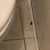 https://cdn-ostrovok-ru-ion.test.edgekey.net/t/100x100/hotel_review/56/9a/569a59475bc32b2eacb20b5c7ce975f597feeb3b.png