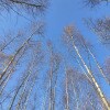 https://cdn-ostrovok-ru-ion.test.edgekey.net/t/100x100/hotel_review/56/b3/56b349eb4a15e4e8ecbb5237fb5d153016d141d0.JPEG