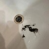https://cdn-ostrovok-ru-ion.test.edgekey.net/t/100x100/hotel_review/56/c7/56c7c4ce4f766993bf1cc43293d1a398d0aa5cbb.jpeg