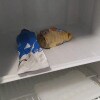 https://cdn-ostrovok-ru-ion.test.edgekey.net/t/100x100/hotel_review/57/21/5721f316ff7c0e89bbbed0db04775bcb2668341d.jpeg