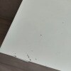 https://cdn-ostrovok-ru-ion.test.edgekey.net/t/100x100/hotel_review/57/41/5741adcd1466c4b6d7f9f14196f9e469e5465d5b.JPEG
