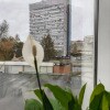 https://cdn-ostrovok-ru-ion.test.edgekey.net/t/100x100/hotel_review/57/66/57664873b231495c3df3c56f5eda149c375acd73.JPEG