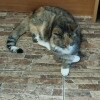 https://cdn-ostrovok-ru-ion.test.edgekey.net/t/100x100/hotel_review/57/a9/57a958d28a41bd36f349fc61783e8b6832d8c2bd.JPEG