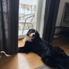 https://cdn-ostrovok-ru-ion.test.edgekey.net/t/100x100/hotel_review/57/db/57dba74ff58a8acd18e930d7d5b46b13d05e0b65.JPEG