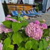 https://cdn-ostrovok-ru-ion.test.edgekey.net/t/100x100/hotel_review/57/e3/57e396eb039f088d8e91fc6eb8986b605c3ce06e.JPEG
