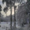 https://cdn-ostrovok-ru-ion.test.edgekey.net/t/100x100/hotel_review/58/02/58023265a3a8527df4443ad0827aa87ba49ae150.JPEG
