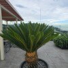 https://cdn-ostrovok-ru-ion.test.edgekey.net/t/100x100/hotel_review/58/4d/584d4e1e1ce5d1ac38f73fad3104baf3fb8c52c4.JPEG