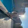 https://cdn-ostrovok-ru-ion.test.edgekey.net/t/100x100/hotel_review/58/6a/586aca1413f19126978c7a63122700079a80836e.JPEG