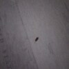 https://cdn-ostrovok-ru-ion.test.edgekey.net/t/100x100/hotel_review/58/73/587384b8eaa69e61b2b56563b1bb744fa1c3d01d.JPEG