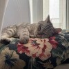 https://cdn-ostrovok-ru-ion.test.edgekey.net/t/100x100/hotel_review/58/7e/587e3e23cf5abe91c05c807eb6ac7699351064c6.JPEG