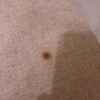 https://cdn-ostrovok-ru-ion.test.edgekey.net/t/100x100/hotel_review/58/95/5895d2a127710668862361899fa9fc8c5c2c5dfb.JPEG
