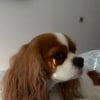 https://cdn-ostrovok-ru-ion.test.edgekey.net/t/100x100/hotel_review/58/9b/589bba2a834633ce3f8cc76f16bad6ccea9c07c2.JPEG