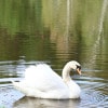 https://cdn-ostrovok-ru-ion.test.edgekey.net/t/100x100/hotel_review/58/a6/58a63c4716a56f692c093b96fa98bbcc15d2f010.JPEG