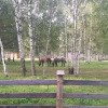 https://cdn-ostrovok-ru-ion.test.edgekey.net/t/100x100/hotel_review/58/ab/58ab9220d706cd9368158fc6cad93f827e9e3d71.JPEG