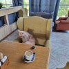 https://cdn-ostrovok-ru-ion.test.edgekey.net/t/100x100/hotel_review/59/44/5944a9637613c0ac6895511a311eb85d88a4b145.JPEG