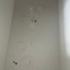 https://cdn-ostrovok-ru-ion.test.edgekey.net/t/100x100/hotel_review/59/73/5973b830941d4cebb5aa4f9702915a54e9bf3f13.JPEG