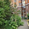 https://cdn-ostrovok-ru-ion.test.edgekey.net/t/100x100/hotel_review/59/ca/59ca936428918f88e872145bb7de38c0408a0508.JPEG