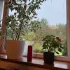 https://cdn-ostrovok-ru-ion.test.edgekey.net/t/100x100/hotel_review/59/d8/59d8fa26d81fe78897eaf329f0fadaa70a2ee597.JPEG