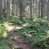 https://cdn-ostrovok-ru-ion.test.edgekey.net/t/100x100/hotel_review/5a/56/5a563fb2228c1f7f6c1a26a4b3feaaebe9d0139f.jpeg