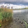 https://cdn-ostrovok-ru-ion.test.edgekey.net/t/100x100/hotel_review/5a/6e/5a6e4148d13383a802cfa3c157c41628dbd0bfa4.JPEG