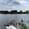https://cdn-ostrovok-ru-ion.test.edgekey.net/t/100x100/hotel_review/5a/96/5a9679486598b221835fa361c53472bc771e98d5.JPEG