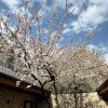 https://cdn-ostrovok-ru-ion.test.edgekey.net/t/100x100/hotel_review/5a/e3/5ae399a4702ca80022411638adf54b28cf1f17f7.JPEG
