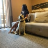 https://cdn-ostrovok-ru-ion.test.edgekey.net/t/100x100/hotel_review/5b/b9/5bb96ae0ab22a4ecc39e8d49694730f3ff31abc3.JPEG