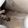 https://cdn-ostrovok-ru-ion.test.edgekey.net/t/100x100/hotel_review/5b/c3/5bc3e7f9e4117d879fc32c6bc8b6a6750a9df194.JPEG