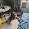 https://cdn-ostrovok-ru-ion.test.edgekey.net/t/100x100/hotel_review/5b/f8/5bf88f8582d26ef34b9568fb264d172a07b7d999.JPEG