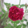 https://cdn-ostrovok-ru-ion.test.edgekey.net/t/100x100/hotel_review/5c/2e/5c2e99e89b570a5c3b6440a212ce4879e08851f7.JPEG