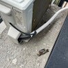 https://cdn-ostrovok-ru-ion.test.edgekey.net/t/100x100/hotel_review/5c/93/5c93c2c95743b4843419b70ba2d19cbaab5a765e.JPEG
