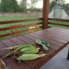 https://cdn-ostrovok-ru-ion.test.edgekey.net/t/100x100/hotel_review/5c/a1/5ca1a545c1a6e96e829513fa980a46de095d760f.jpeg