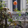 https://cdn-ostrovok-ru-ion.test.edgekey.net/t/100x100/hotel_review/5d/1f/5d1f3ce2b7b45a5a26de2f930f1e15a733fb9f06.JPEG