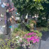 https://cdn-ostrovok-ru-ion.test.edgekey.net/t/100x100/hotel_review/5d/64/5d64b7a192fadbe1fe3a16631723f9fd0a2a7ce7.JPEG