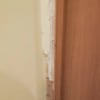 https://cdn-ostrovok-ru-ion.test.edgekey.net/t/100x100/hotel_review/5d/6b/5d6b2b703dc602aece4523811f9d10906a01d0bd.jpeg