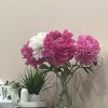 https://cdn-ostrovok-ru-ion.test.edgekey.net/t/100x100/hotel_review/5d/77/5d773f8bb91962d55ec0f60776d1c3ee08489d23.JPEG