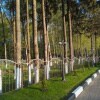 https://cdn-ostrovok-ru-ion.test.edgekey.net/t/100x100/hotel_review/5d/81/5d819f47aa540bfa8cfc8902b8f273fdd6c16e53.JPEG
